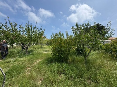 image 377581