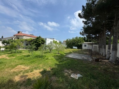 image 377581