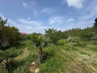 image 377581