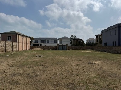 image 377583