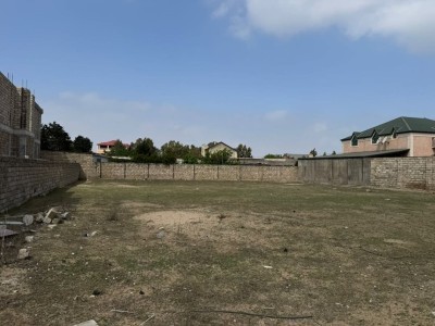 image 377583