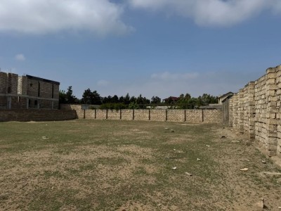 image 377583