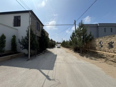 image 377583