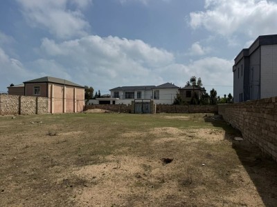image 377583