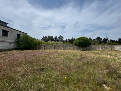 image 377584