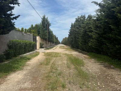 image 377586
