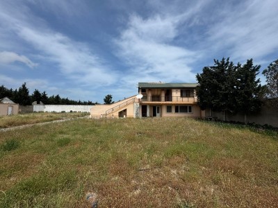 image 377586