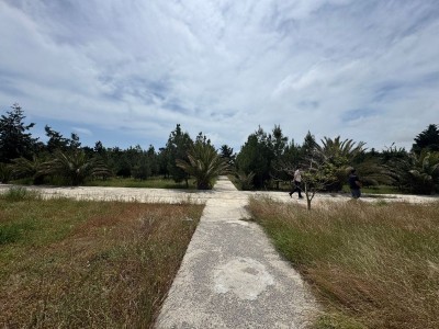 image 377586