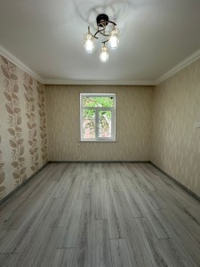 image 377617