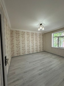 image 377617