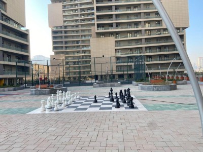 image 377623
