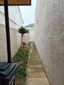 image 377637