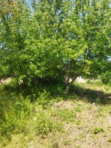 image 377642