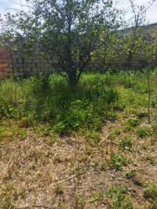 image 377642