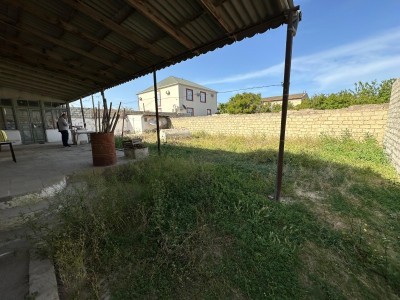 image 377646