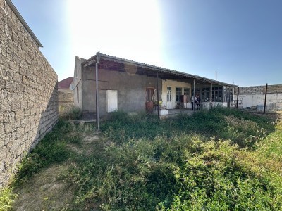 image 377646