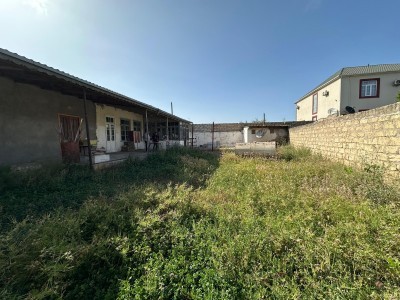 image 377646
