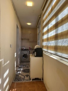 image 377665