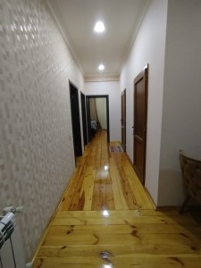 image 377682