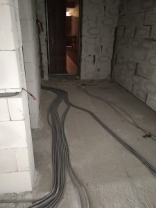image 377695