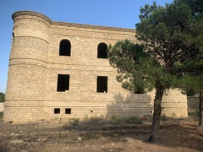 image 377705