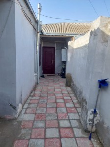 image 377713