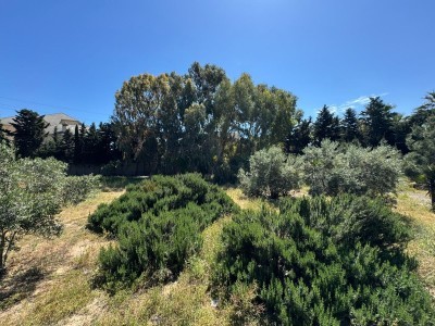 image 377740
