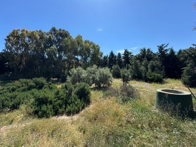 image 377740