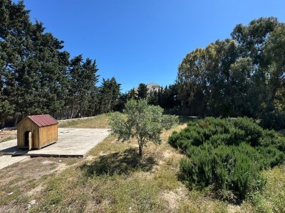 image 377740