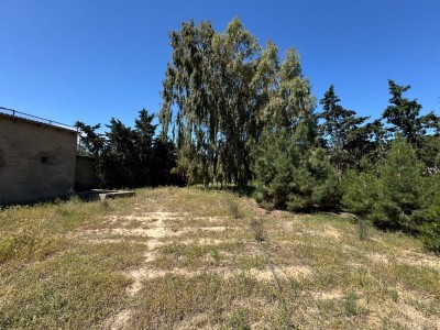 image 377740