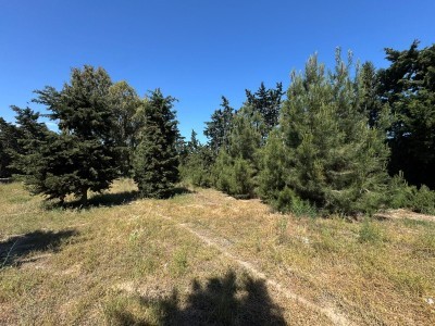 image 377740