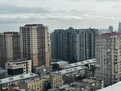 image 377741