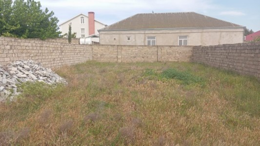 image 377753