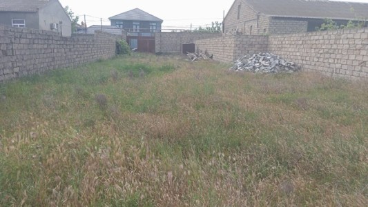 image 377753