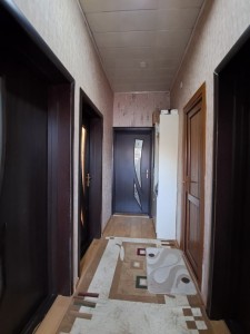 image 377766