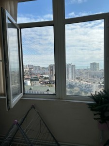 image 377776