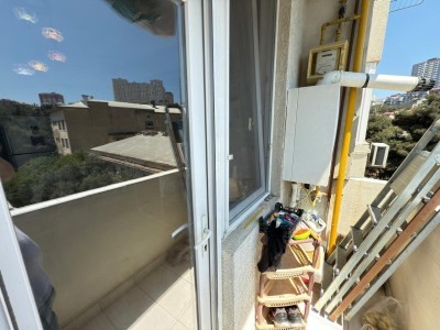 image 377784