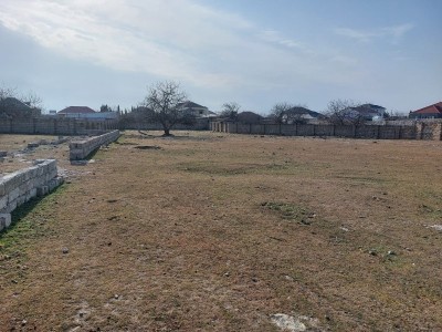 image 377787