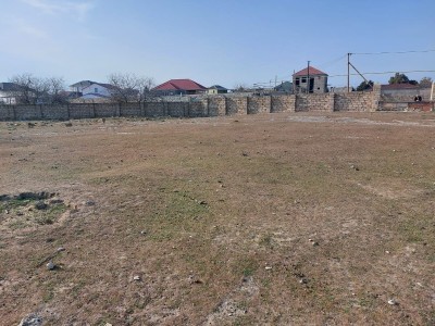 image 377787