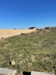image 377805