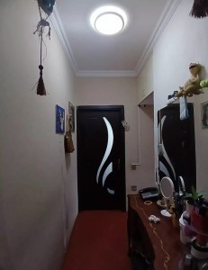 image 377811
