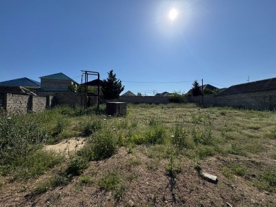 image 377816