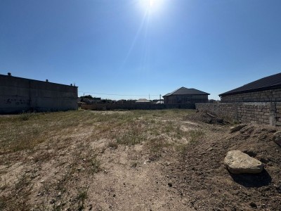 image 377821