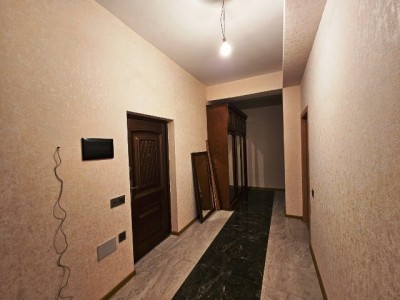 image 377834