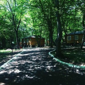 image 377841