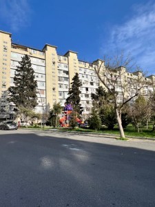 image 377852