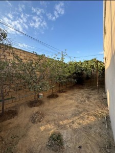 image 377853