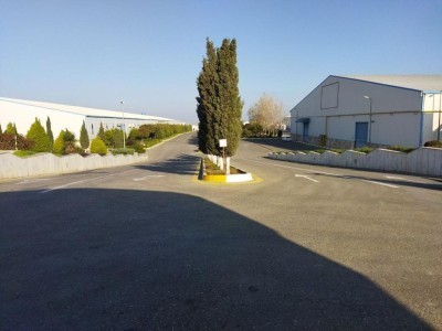image 377854