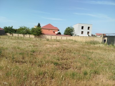 image 377855