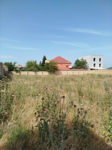 image 377855